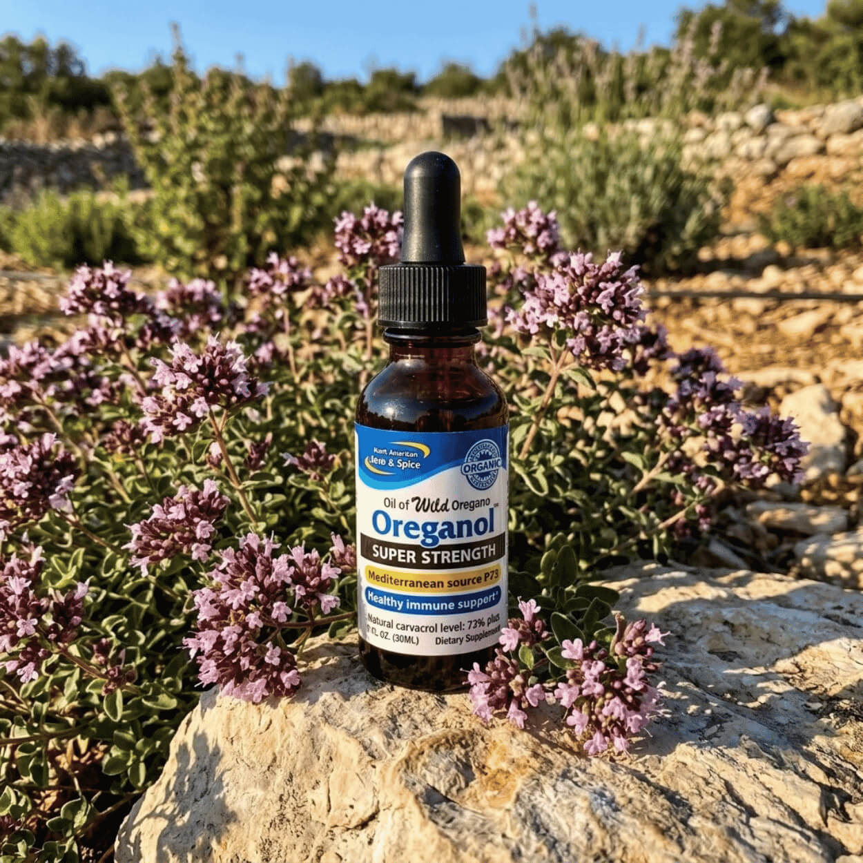 Na obrázku je lahvička Super Strength Oreganol P73 od North American Herb & Spice na přírodním podkladu vedle čerstvého oregana, olivového oleje a kapátka.